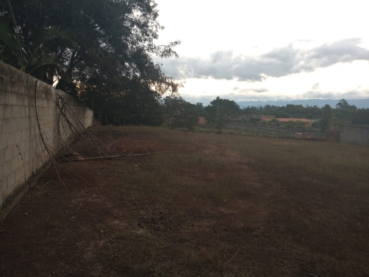 Terreno à venda, 3100m² - Foto 3