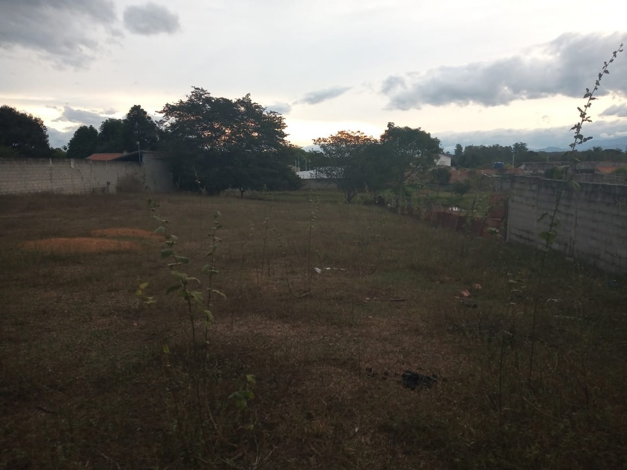 Terreno à venda, 3100m² - Foto 5