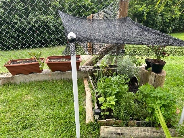 Terreno, 140 m² - Foto 2