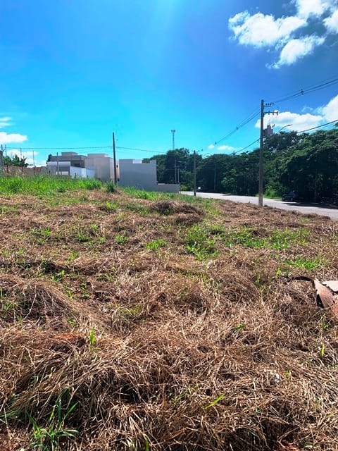Terreno à venda, 290m² - Foto 1
