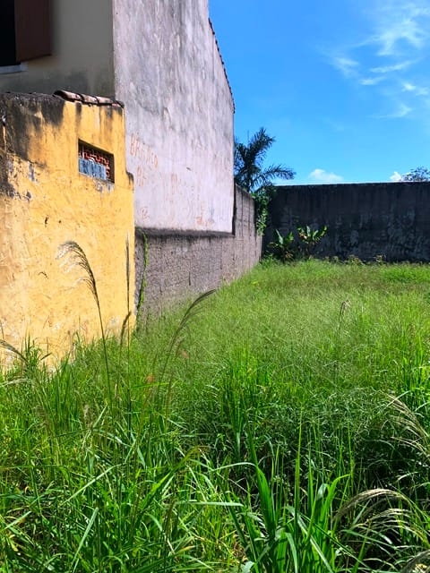 Terreno, 314 m² - Foto 5