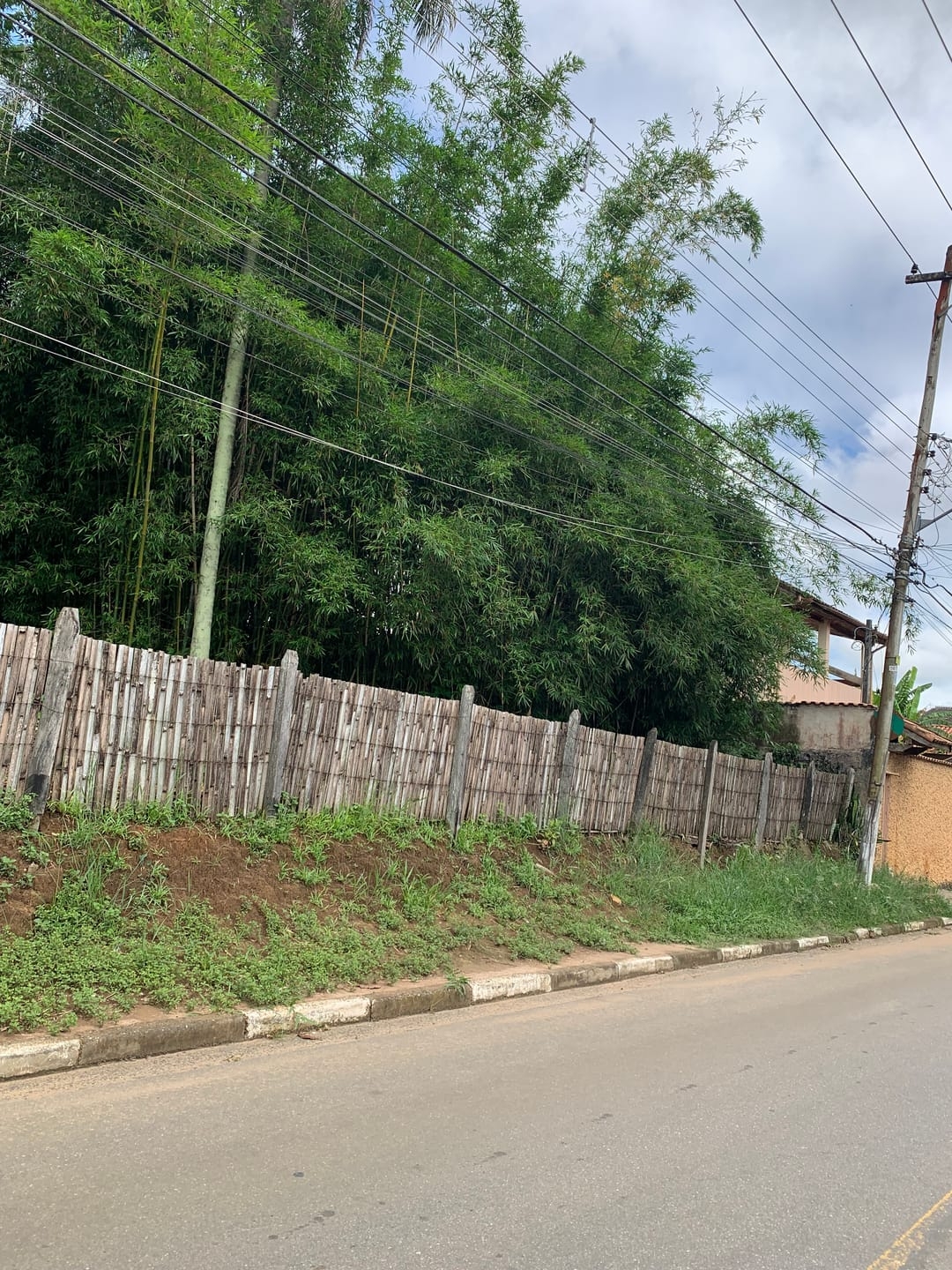 Terreno, 5000 m² - Foto 1