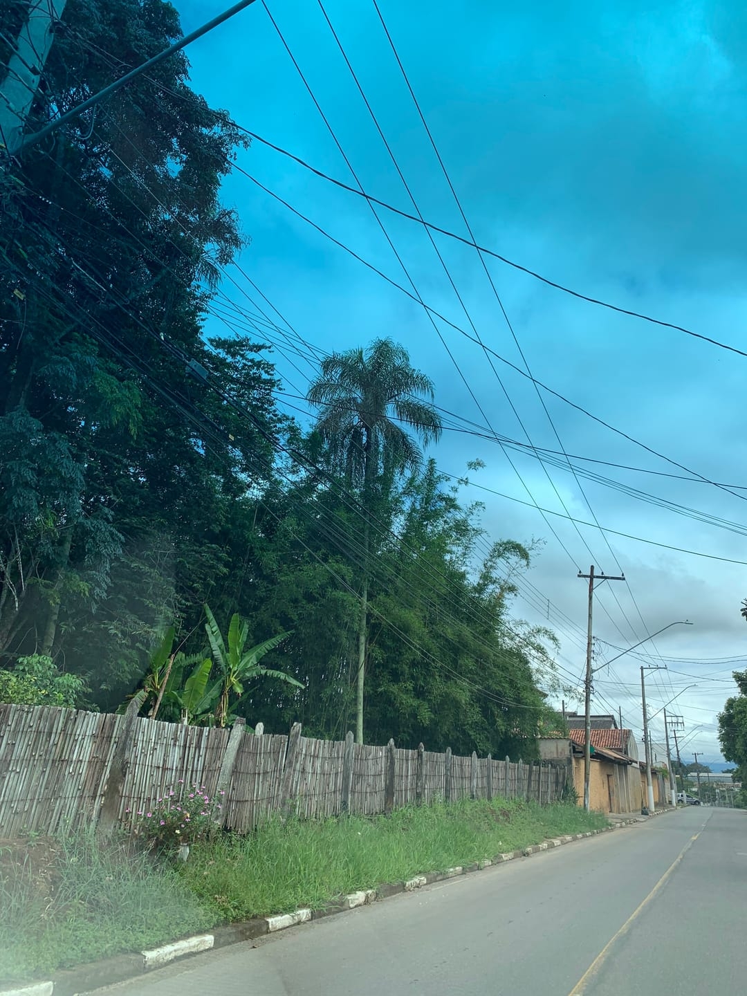 Terreno, 5000 m² - Foto 2