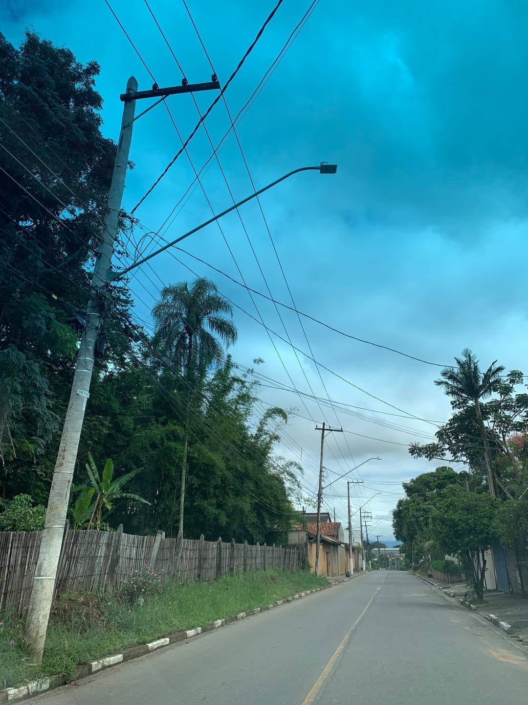 Terreno, 5000 m² - Foto 3