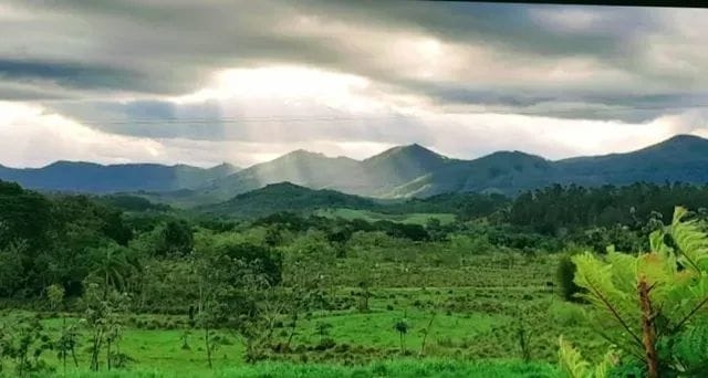 Terreno à venda - Foto 4