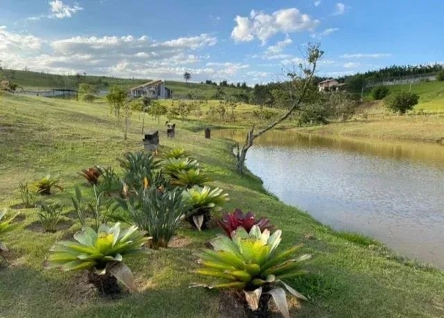 Terreno à venda - Foto 7
