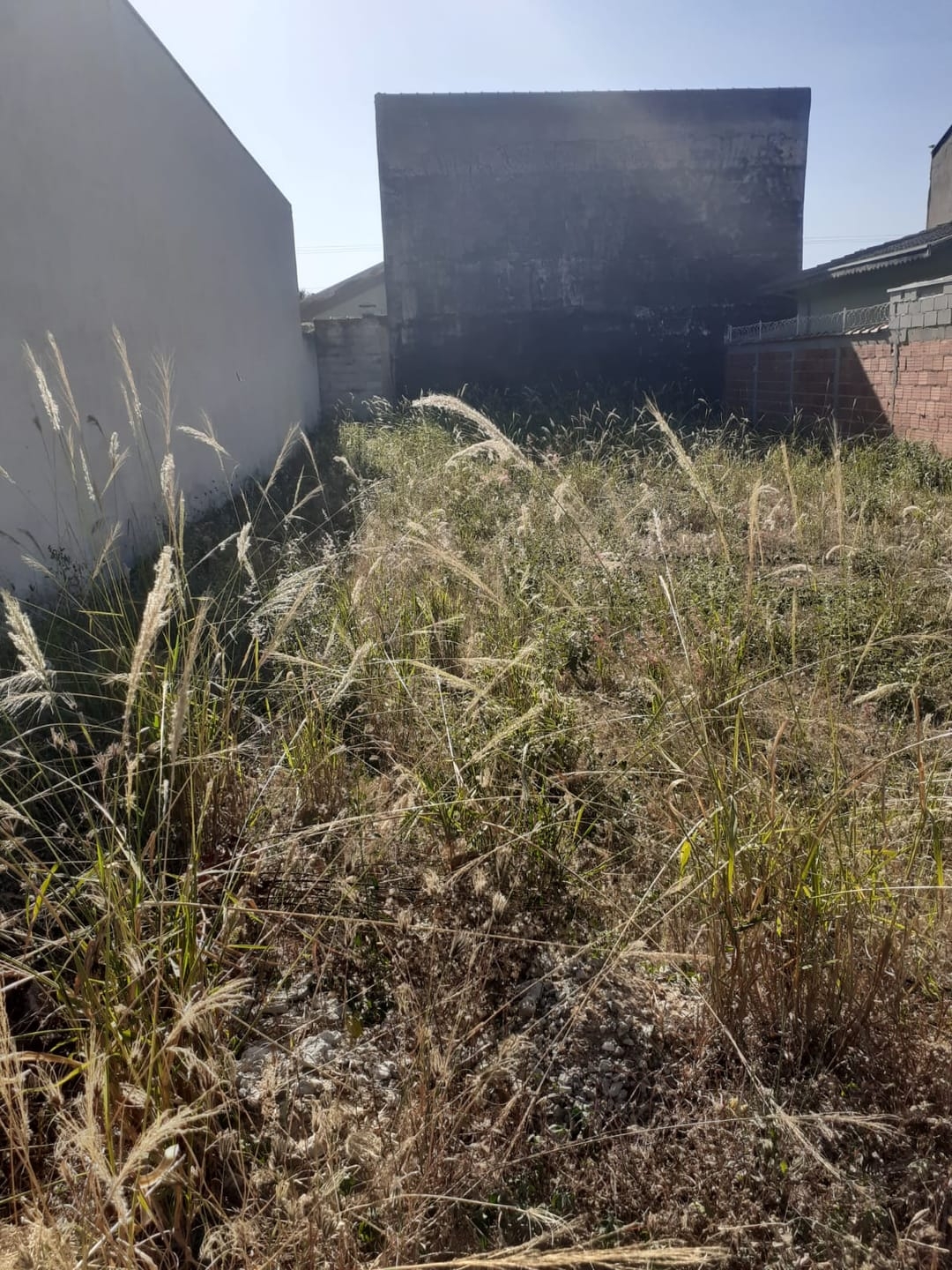 Terreno, 250 m² - Foto 2