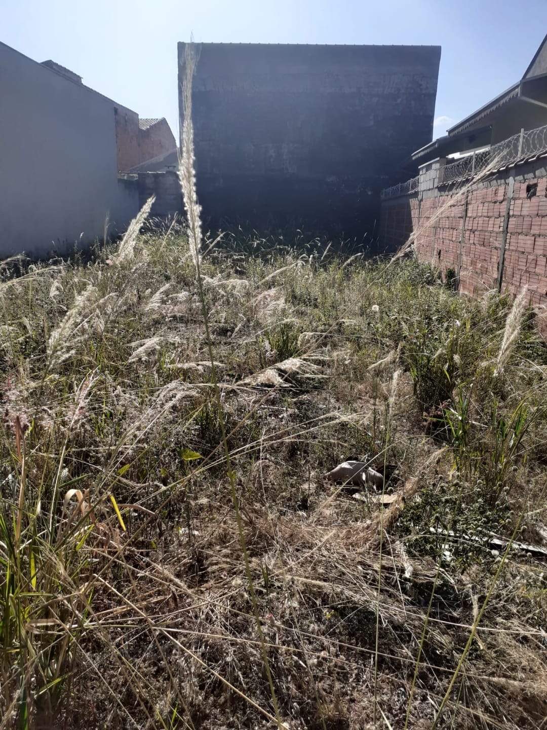 Terreno, 250 m² - Foto 4