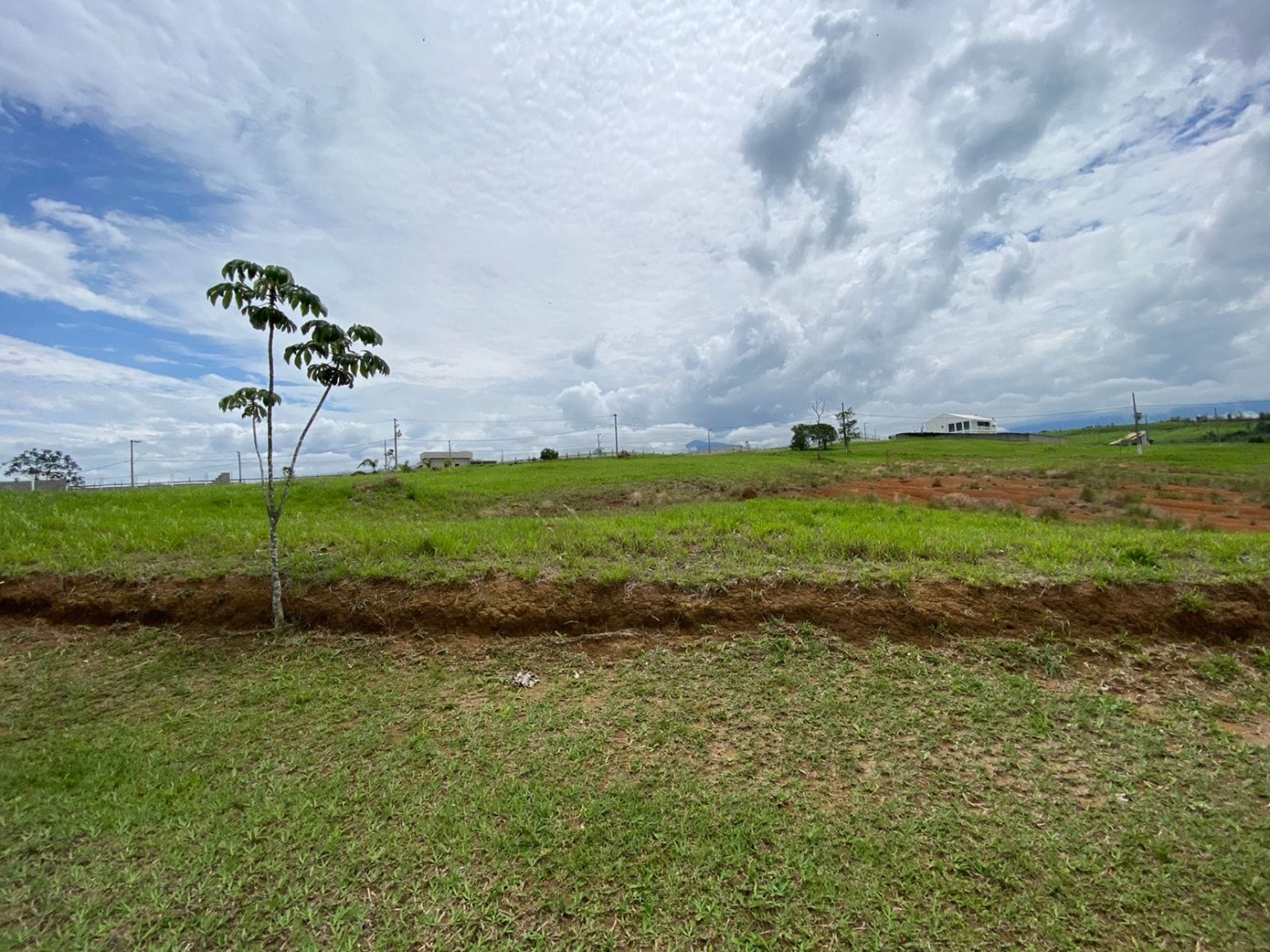 Terreno, 1000 m² - Foto 2