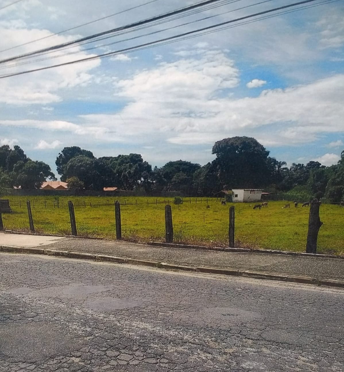 Terreno à venda, 300m² - Foto 1