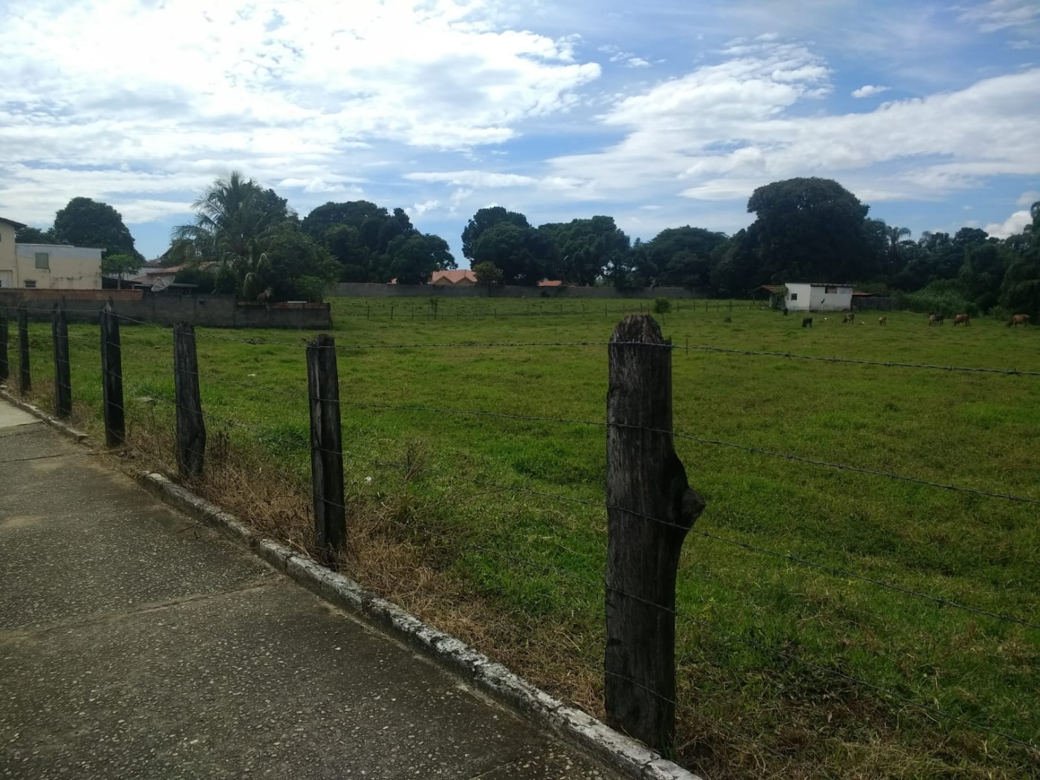 Terreno à venda, 300m² - Foto 3
