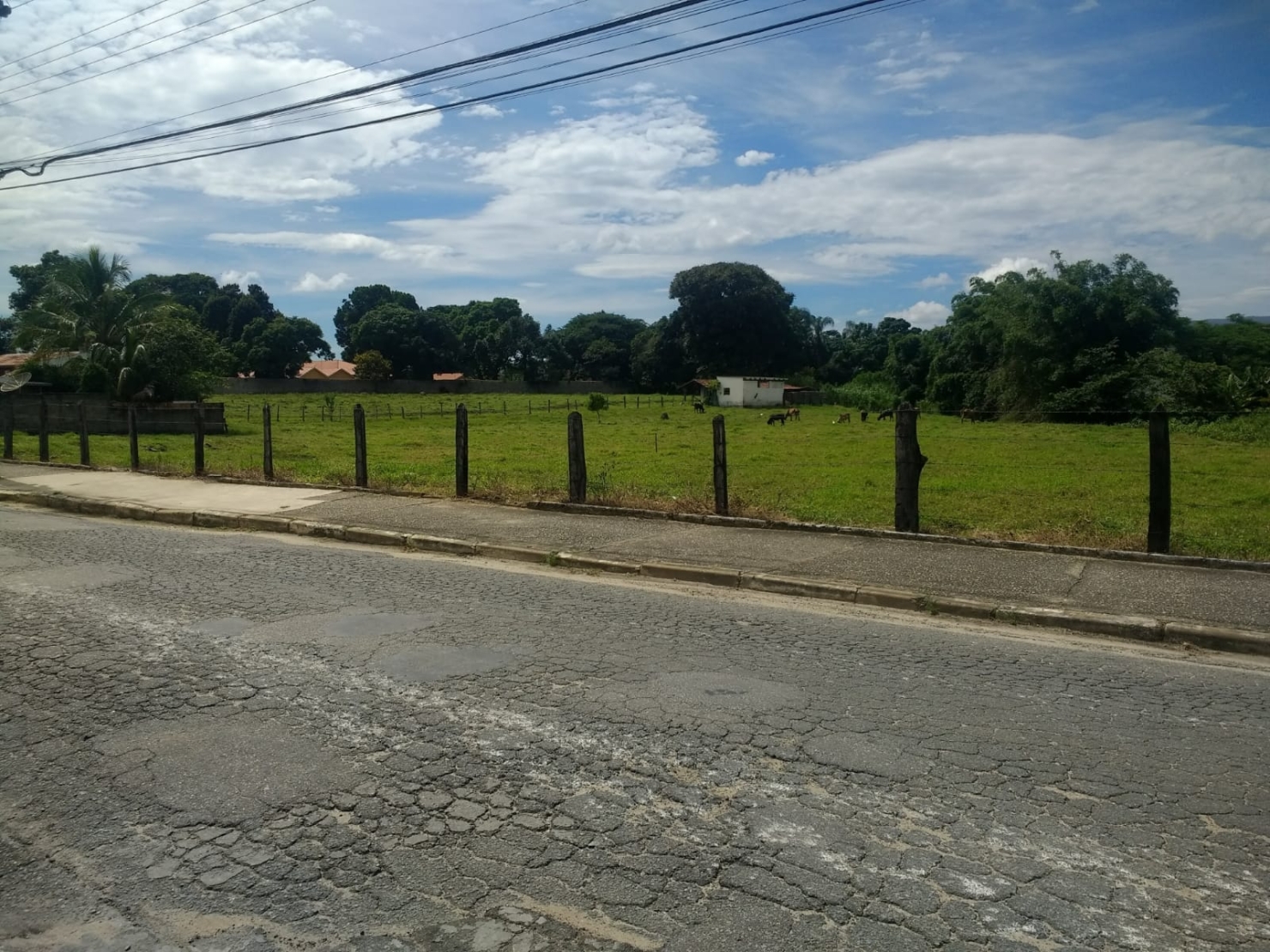 Terreno à venda, 300m² - Foto 4