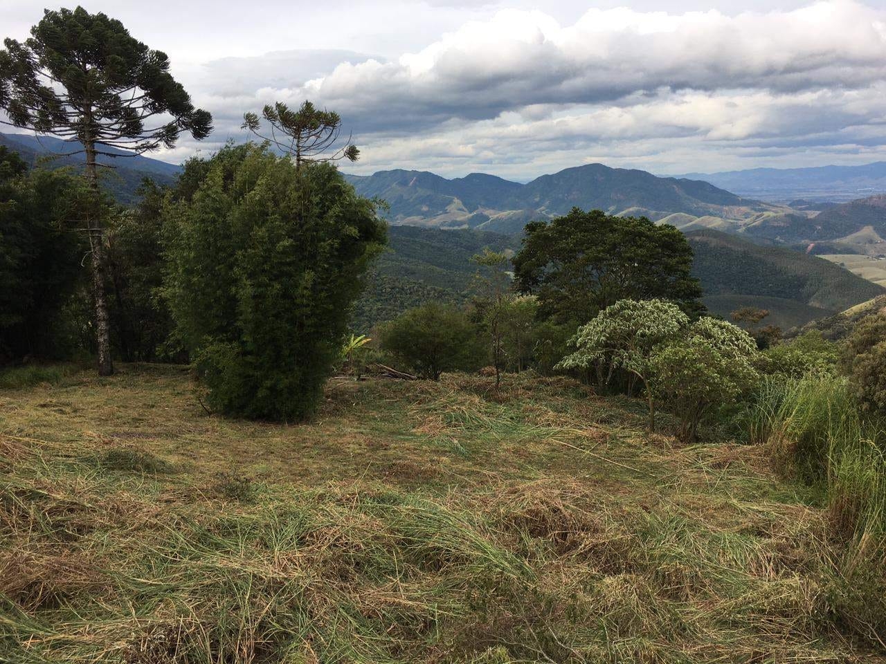 Terreno à venda, 1300m² - Foto 7