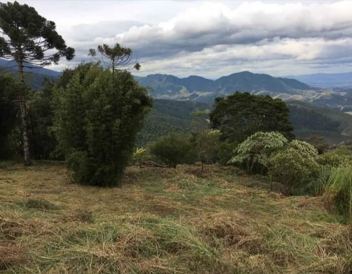 Terreno à venda, 1300m² - Foto 9