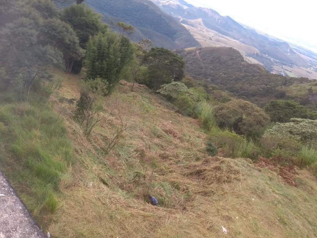 Terreno à venda, 1300m² - Foto 13