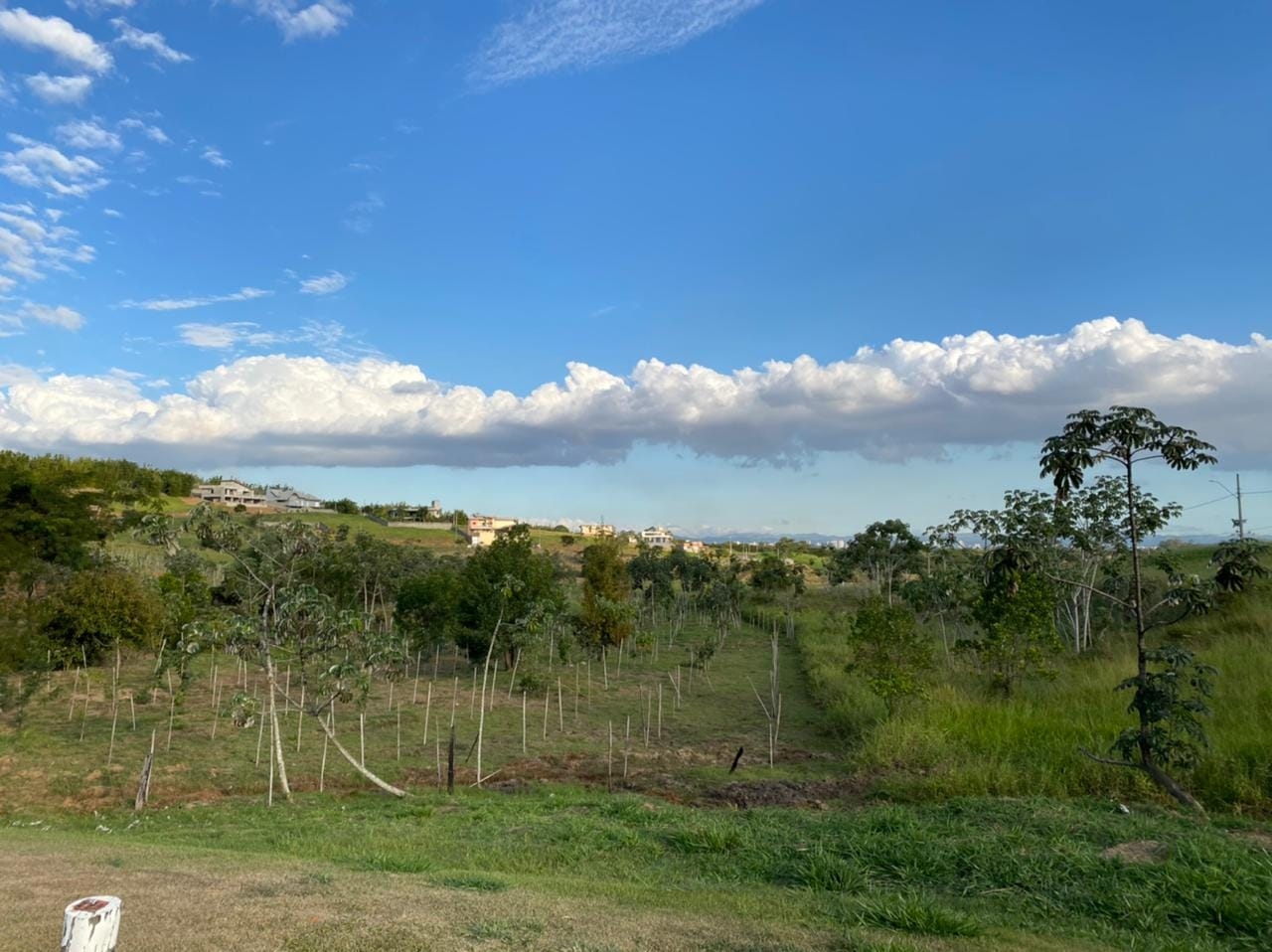 Terreno, 1036 m² - Foto 2