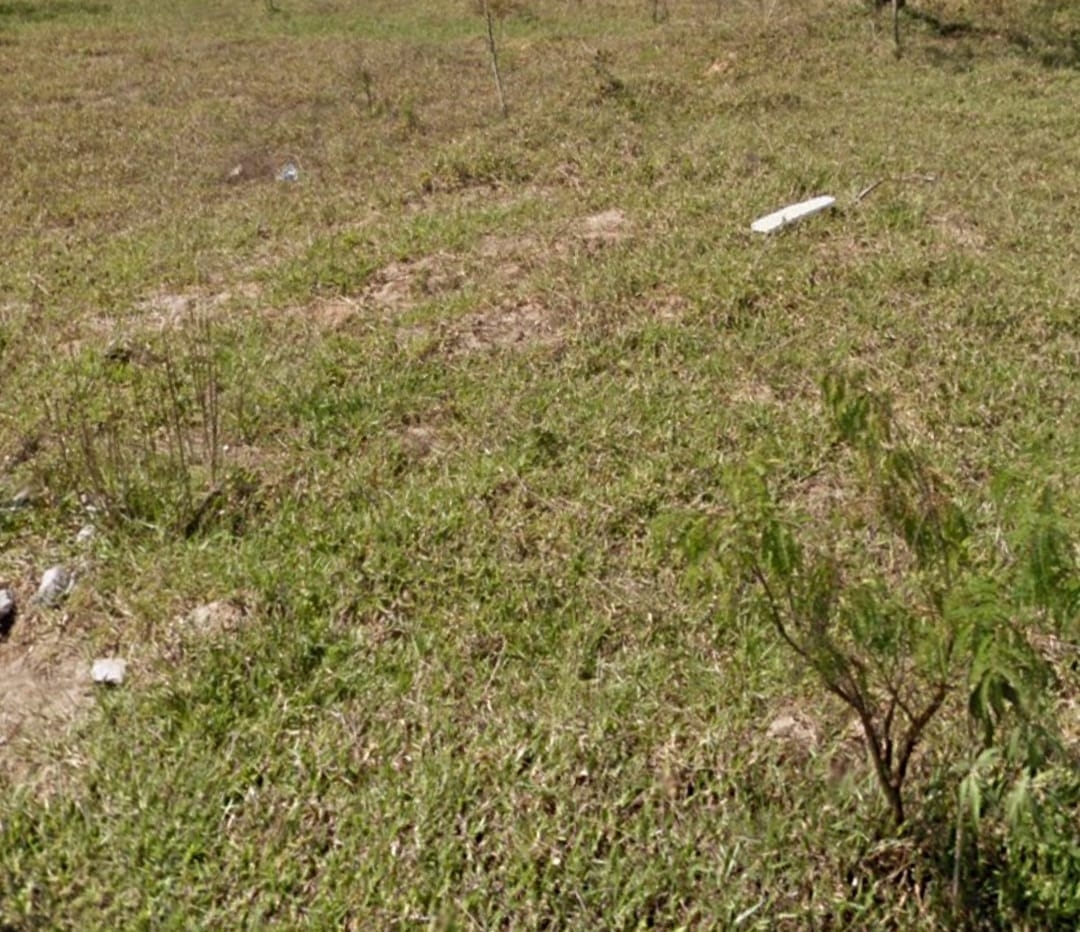 Terreno, 125 m² - Foto 2