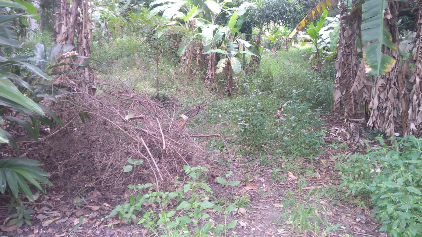 Terreno à venda, 6866m² - Foto 4