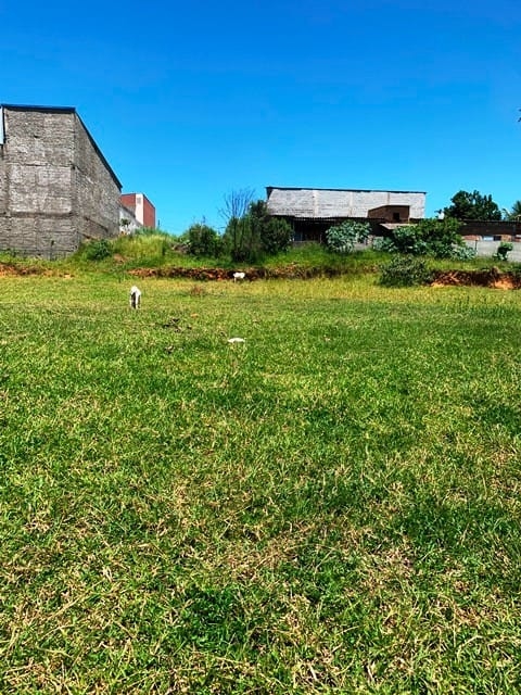 Terreno, 1146 m² - Foto 3