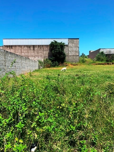 Terreno, 1146 m² - Foto 6