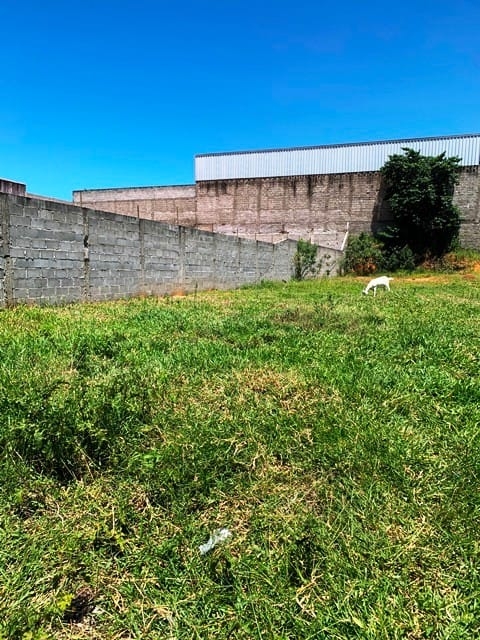 Terreno, 1146 m² - Foto 7