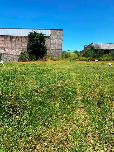 Terreno, 1146 m² - Foto 8