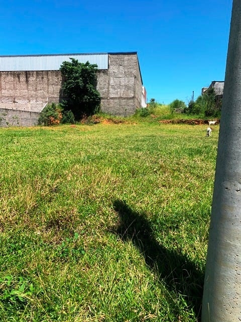 Terreno, 1146 m² - Foto 9