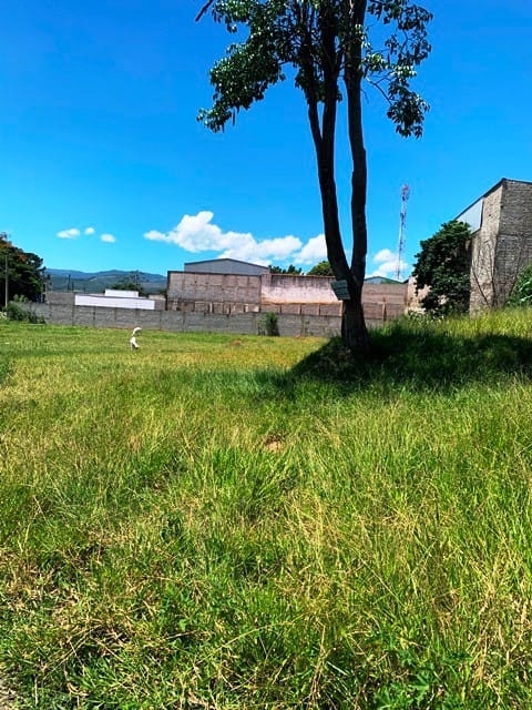 Terreno, 1146 m² - Foto 14