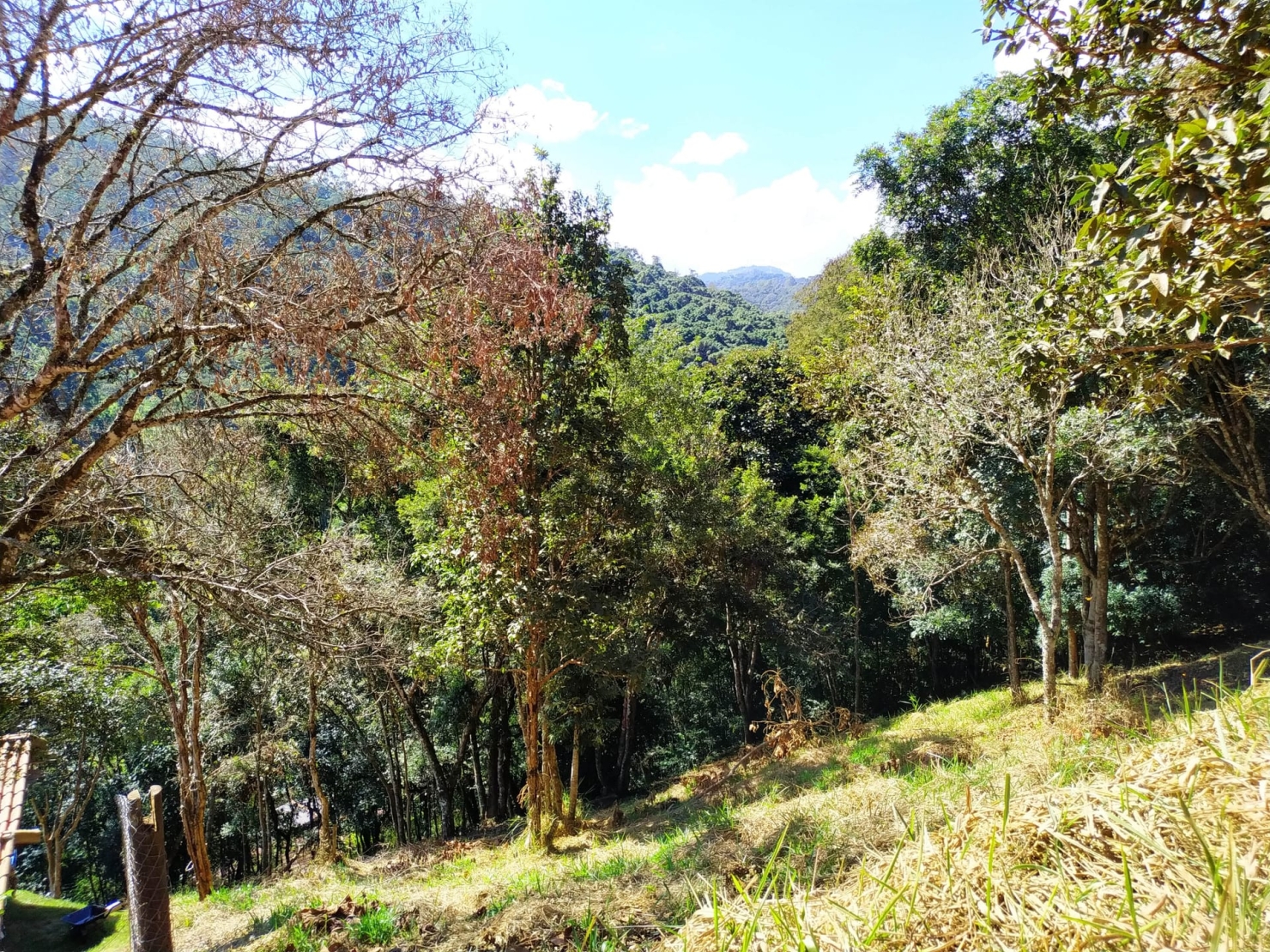 Terreno, 1500 m² - Foto 3