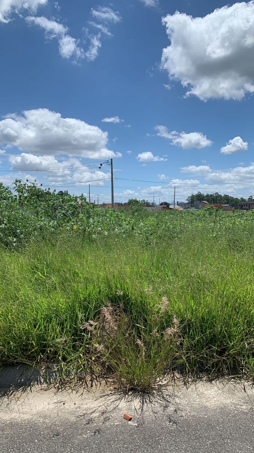 Terreno à venda, 125m² - Foto 1