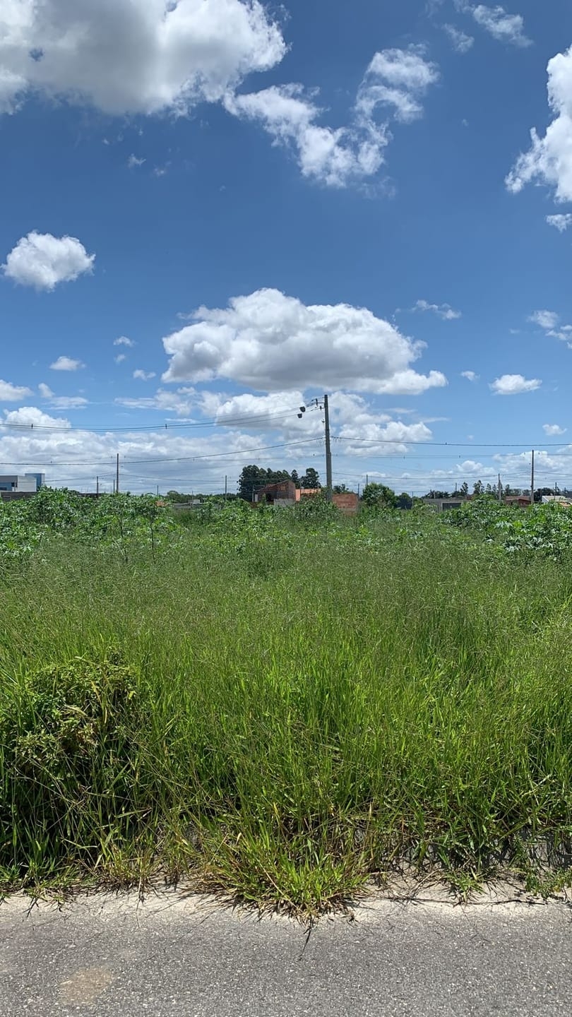 Terreno à venda, 125m² - Foto 2