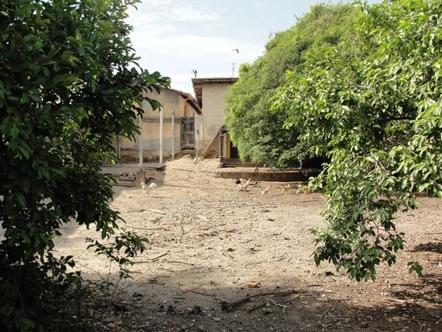 Terreno, 774 m² - Foto 4