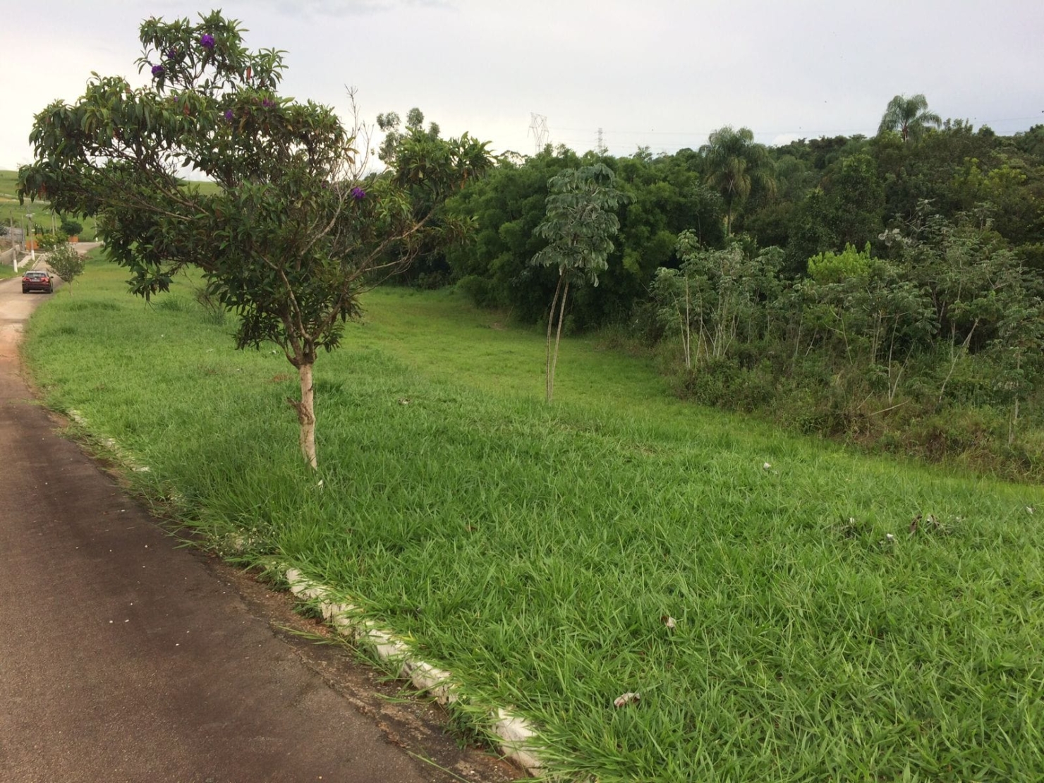 Terreno à venda, 2025m² - Foto 3