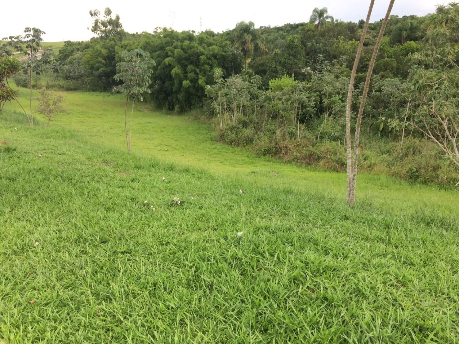 Terreno à venda, 2025m² - Foto 5