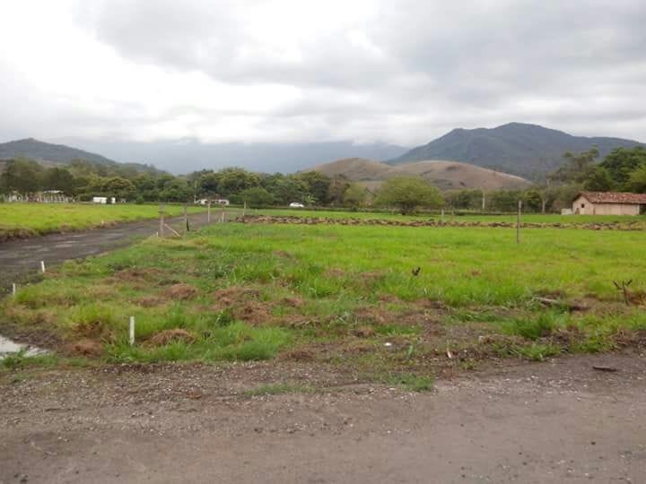 Terreno, 1151 m² - Foto 3