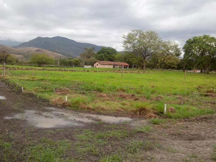 Terreno, 1151 m² - Foto 4