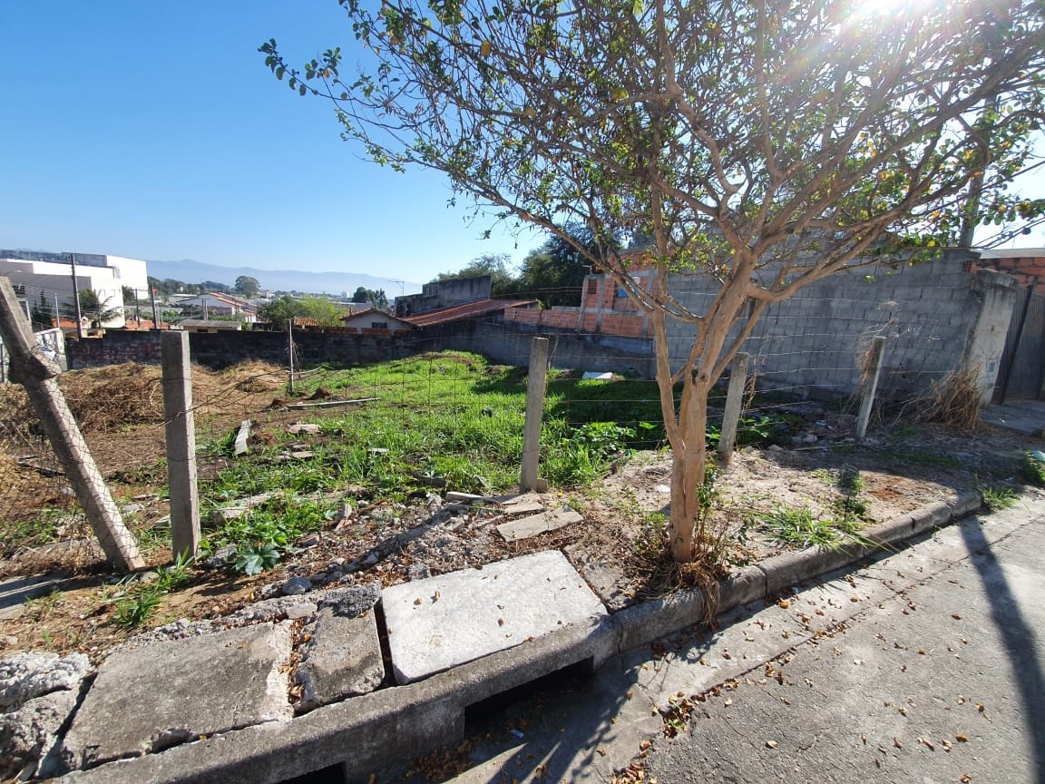 Terreno, 250 m² - Foto 1