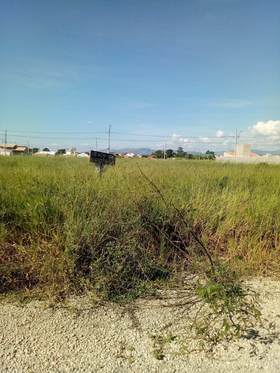 Terreno à venda, 250m² - Foto 1