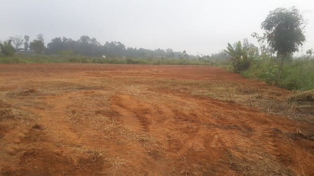 Terreno, 4693 m² - Foto 1