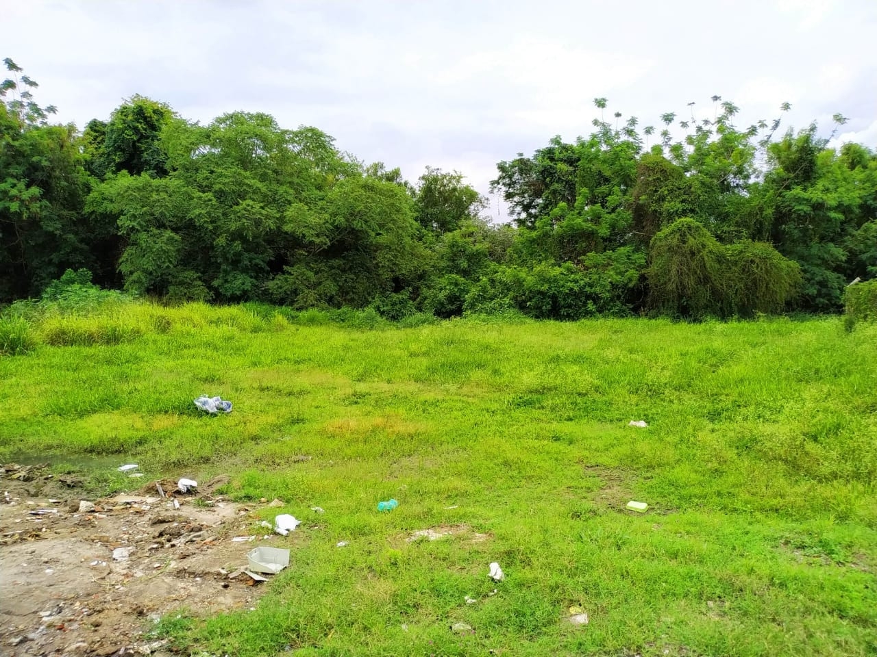 Terreno à venda, 3200m² - Foto 1