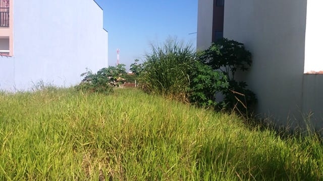 Terreno, 300 m² - Foto 6