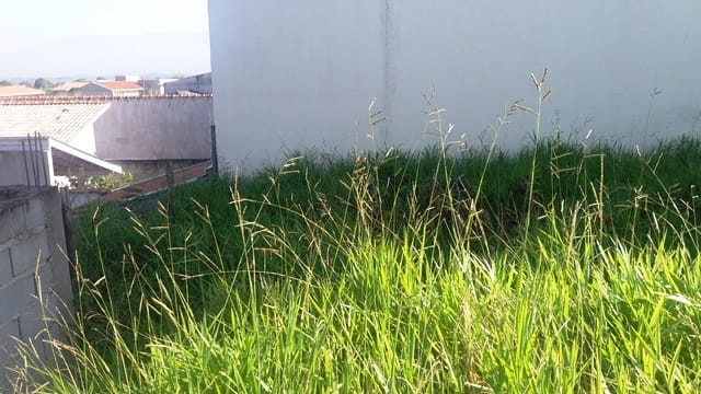 Terreno, 300 m² - Foto 8