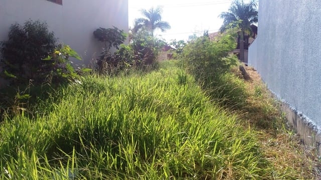 Terreno, 300 m² - Foto 9