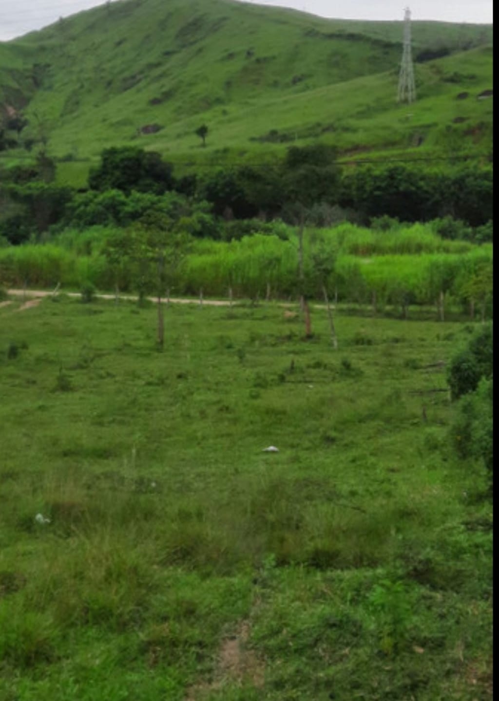 Terreno à venda, 12000m² - Foto 4