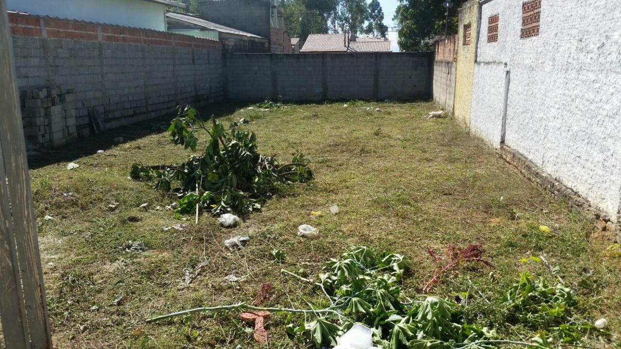 Terreno à venda, 250m² - Foto 2