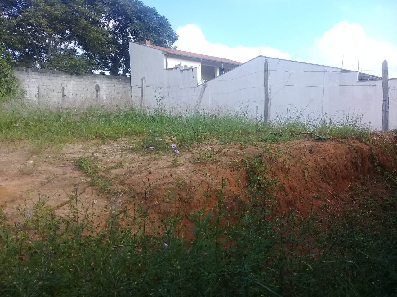 Terreno, 300 m² - Foto 6