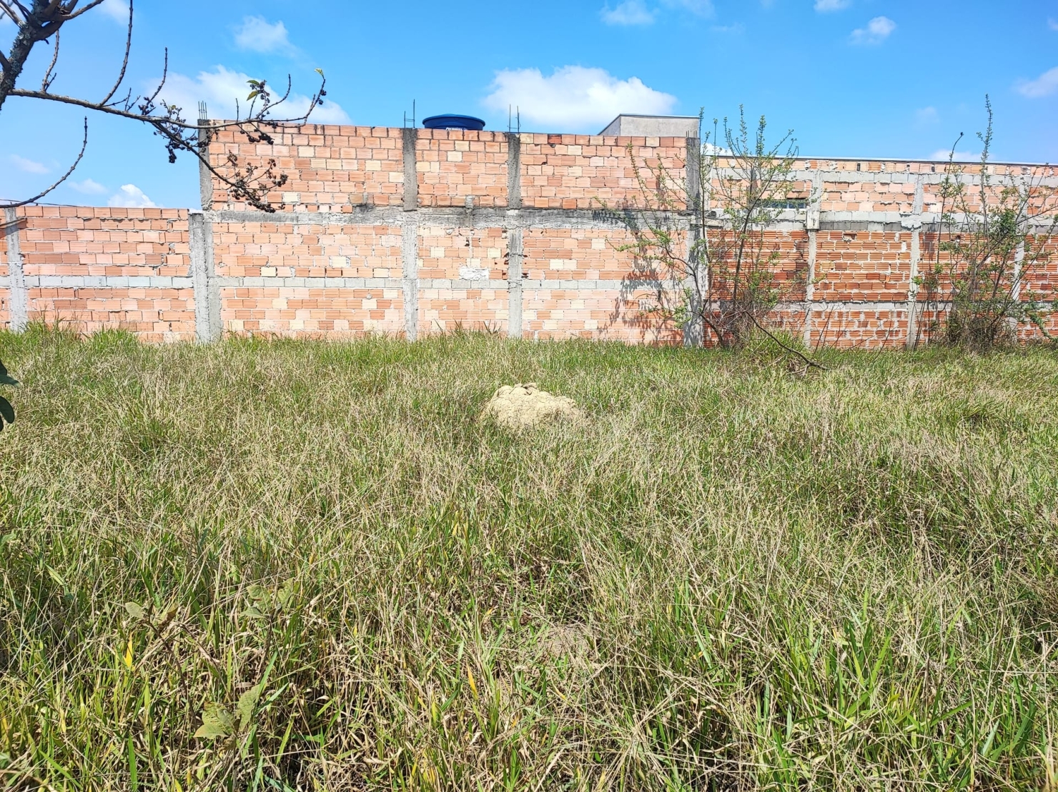 Terreno, 200 m² - Foto 1