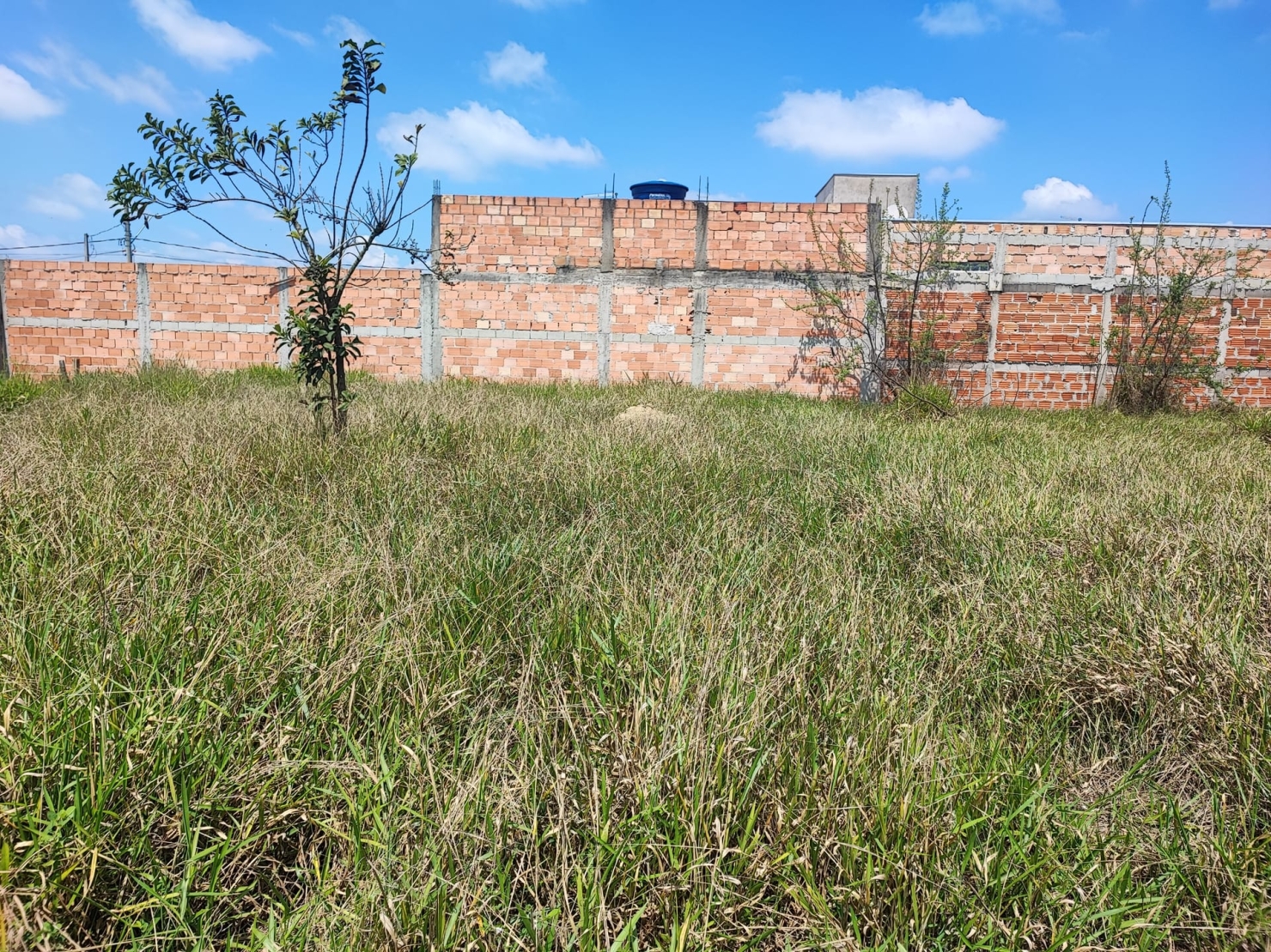 Terreno, 200 m² - Foto 2