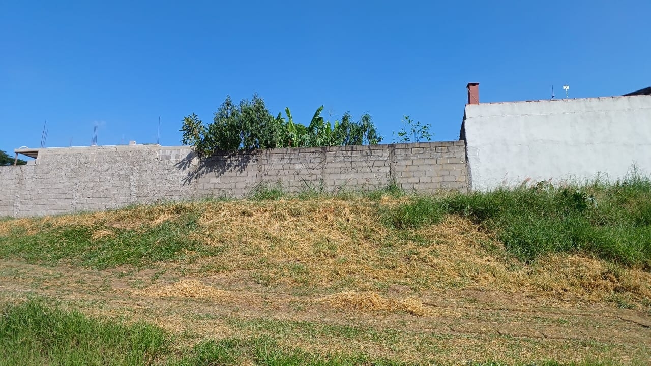 Terreno, 250 m² - Foto 1