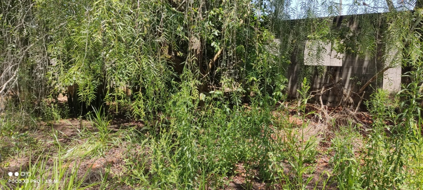 Terreno, 409 m² - Foto 9